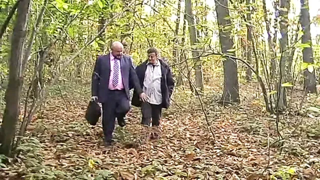 Eşcinsel ayılar