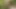 A random femboy jerks my cock and eats my cum in a park