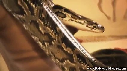 En ateşli çıplak esmer desi dansçı