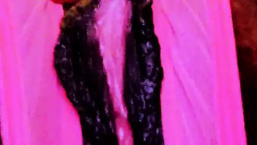 Onu gördüğünü biliyorum