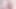 Çarpıcı kızıl saçlı Çek pembe kedi genç
