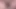 Lilian cachorra