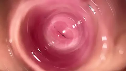 Mia'nın küçük kedisinin derinliklerindeki kamera