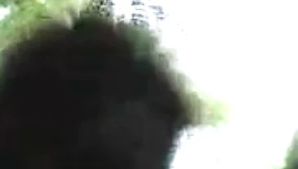 Videolar 217 ihtiyar