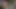 İki sarışın vahşi üçlü grup sekste sırayla bir adamı emiyor ve sikiyor.