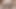 Açıklamada sevimli seksi eşek dolu video bağlantısı
