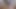 iki web kamerası fıstıklar