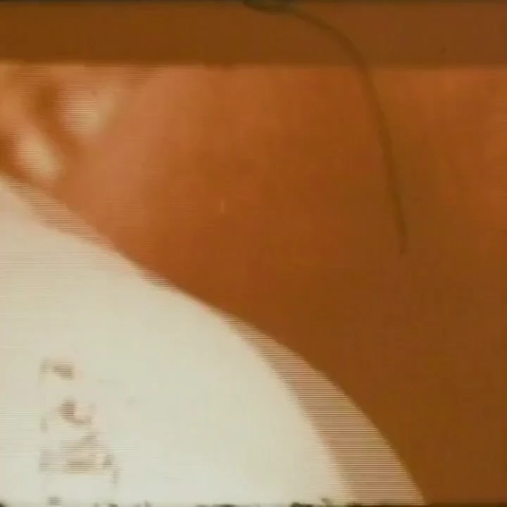 "Menşeimiz xxx... - cilt 14