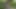 Çiftliğinde pissing bir kız yakaladı ve kıçından lanet tarafından cezalandırıldı