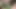 Seksi esmer kocası izlerken azgın adamla ateşli seks yapıyor