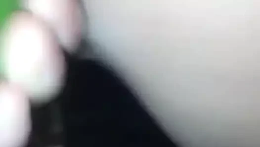 Anal ve kedi kahrolası