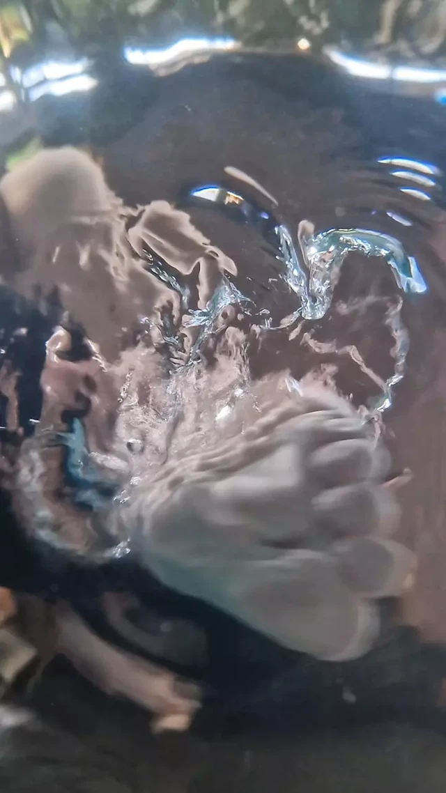 Serinleyin - Gençler yüzme havuzunda çıplak şeritler, su altı kamerası