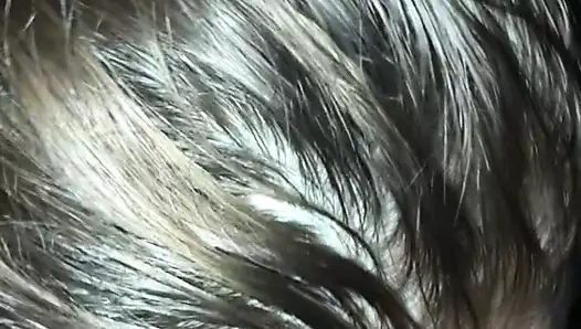 Olgun milf ile hayır diş emme büyük çük pt2