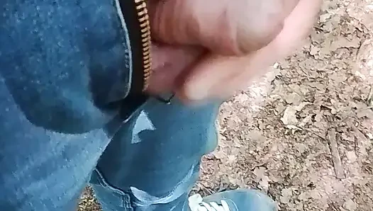 Ben ormanda seyir noktaları