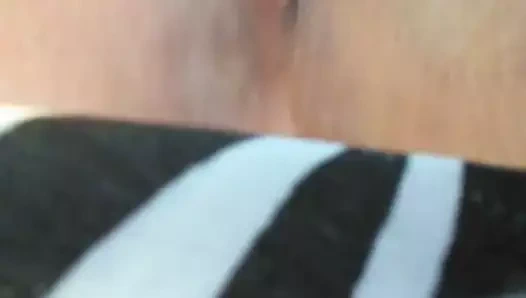 Büyük memeli latin