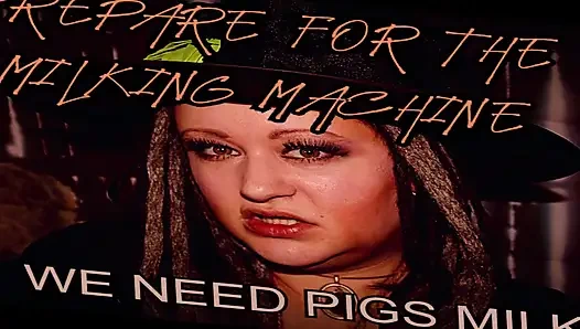 SADECE SES - sağım makinesine hazırlanın