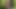 Scoutboys seksi sevimli twink Ethan Tate ateşli scoutmaster tarafından prezervatifsiz sikiliyor