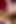 Black-haired Vixen Fucked at the Opera - Ai-generated