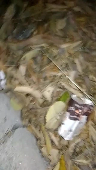 Açık havada büyük boşalma