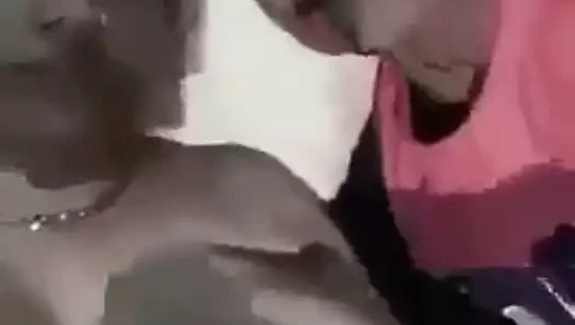 Büyük göğüsler desi bhabi