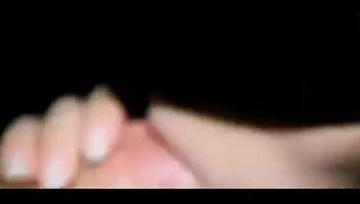 Büyük Fas horoz aşıklar