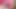 Orta yaşlı seksi kadın gırtlağına kadar yarak emiyor
