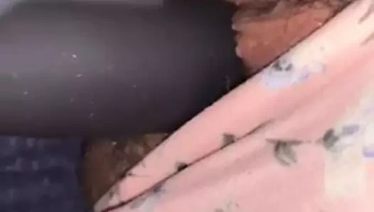 paskalya külot ıslak KEDİ