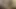 Kıllı, sünnetsiz kaslı ayı sıkı Asya deliğini sikiyor