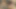 Sapık dövmeli genç kız hayatının en iyi oral seksini yapıyor!
