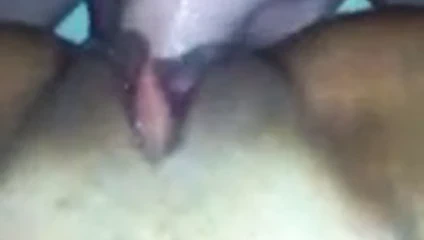 Loris arkadaş lona isteyen bazı beyaz horoz içinde ona kedi