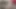 Mia Malkova ve Veronica Snow mutfakta buluşuyor ve birbirlerini yalıyor