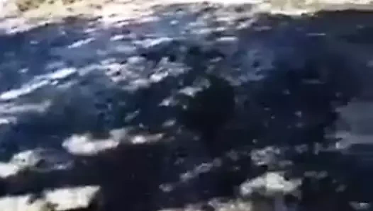 Pakistan yashal khan porno video