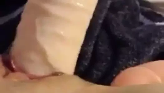 Amatuer dev yapay penis içinde kedi