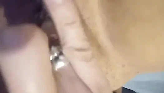 Kedi