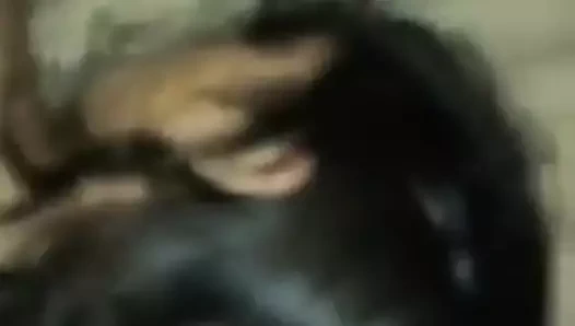 bağlı yukarı ve fucked