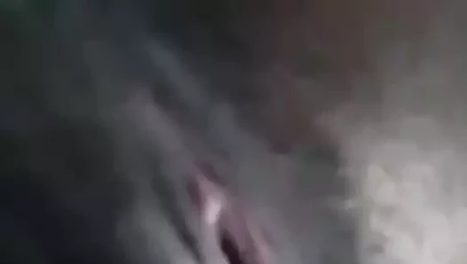 Kırmızı kedi deliği