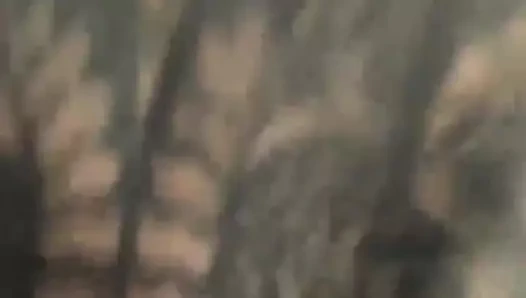 Luvli'nin saf ruhun enfes kontrolü