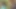 A076G11 A mature woman in her sixties is about to apply for AV. Nymphomaniac SEX in the shade of a tree in the forest!