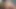 Venus Lux Kayleigh Cox ile iş başında