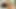 Çarpıcı koyu saçlı peacherino kristina black aşağı iniyor ve numara yapıyor