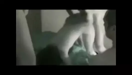 rasturaju mladu picu