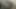 Zenci kızları seviyorum