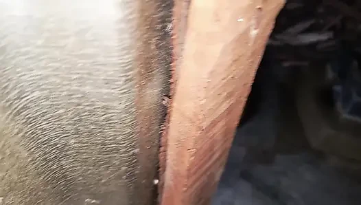 Üvey oğul teyze ilk kez götünü sikiyor