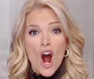Megyn Kelly Döngüsü #1