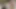 Amatör sürtükler filme alınırken büyük 4_sexy esmer arkadaşıyla plajda seks yapıyor