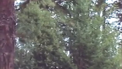 Kızları seven kızlar 7