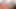 Masif bubi lesbos angelina castro &amp; sofia gül mastürbasyon yapmak