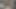 Akşam yemeği servis edilir (web bulma)