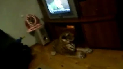 bg porn -at home, domashno zabavlenie