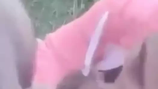 Elle me Suce En Brousse